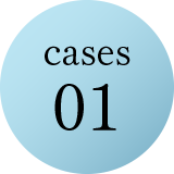 cases01