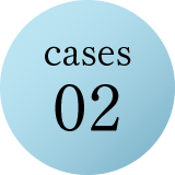 cases02