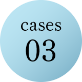 cases03